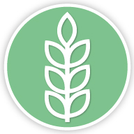 Wheat icon