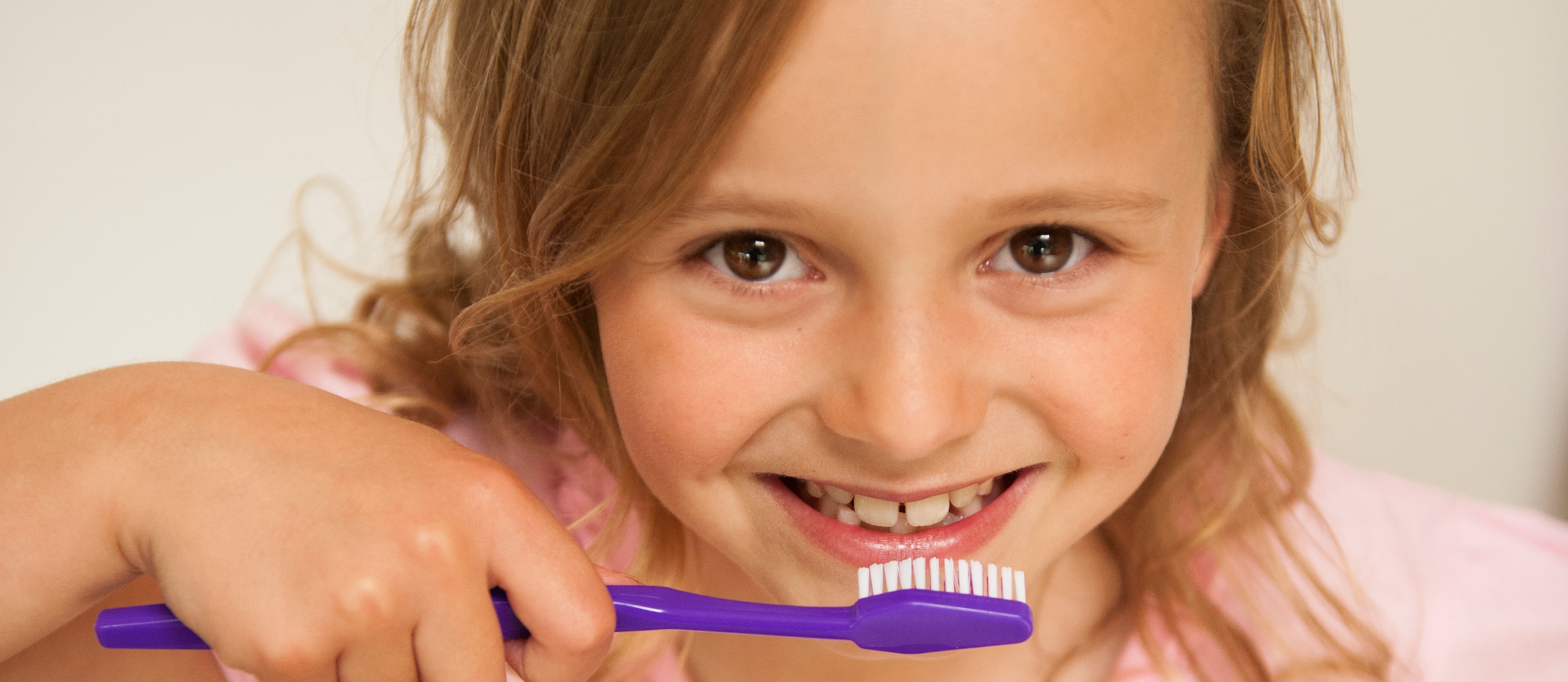 dental-pulp-sgmt14
