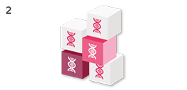 DNA Blocks