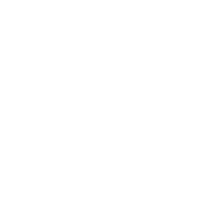 spinal cord injury (SCI) icon white