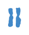 Trisomie 7
