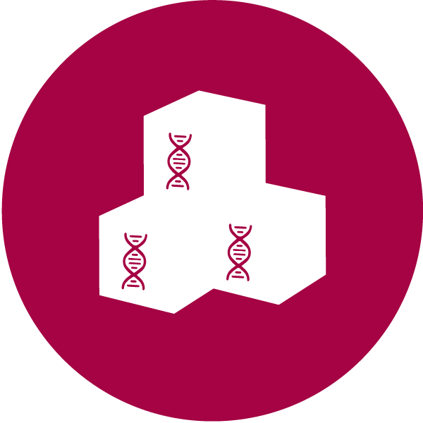 processo-raccolata-celluel-staminali-icona