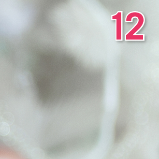 door-Day 12