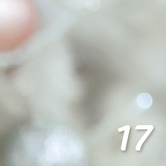 door-Day 17