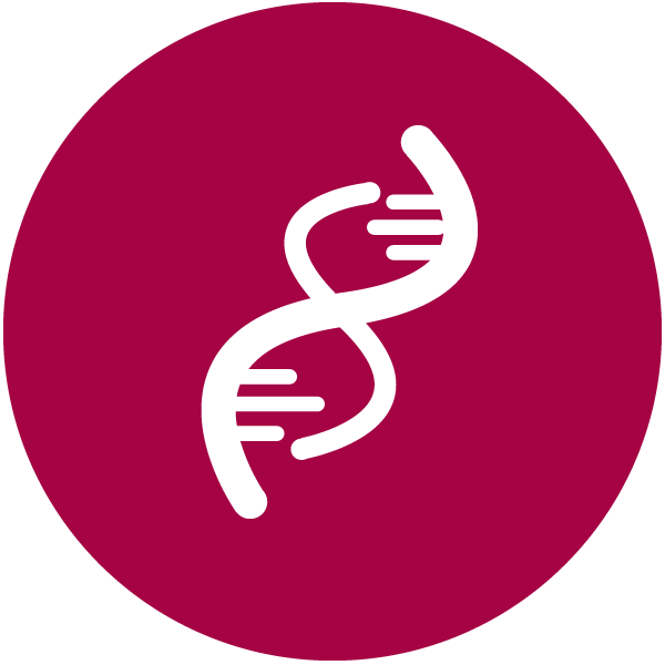servicios-de-diagnóstico-icon