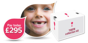 Dental pulp main banner