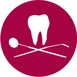 dental-pulp-collection